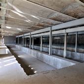 Kelly Natatorium at Waterworks