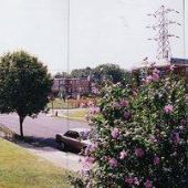 900 Block of Disston St. (Northeast)