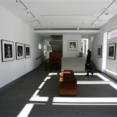 Gallery 339