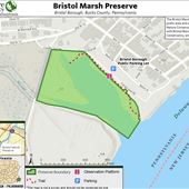 Bristol Marsh Preserve