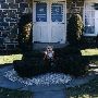 37 Fort Washington Street