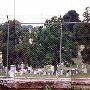 Mt. Vernon Cemetery