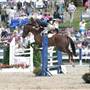 Ludwigs Corner Horse Show Grounds