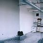 Wolf Building