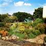 Liberty Lands Park