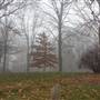 Awbury Arboretum
