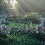 Morris Arboretum