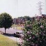 900 Block of Disston St. (Northeast)