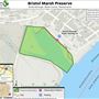 Bristol Marsh Preserve