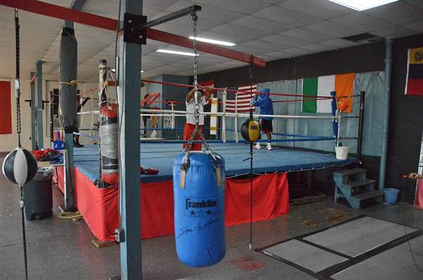 Harrowgate Boxing Club