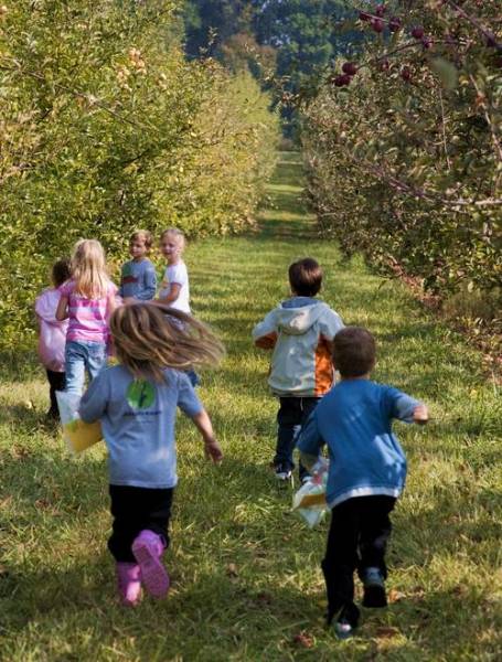 Solebury Orchards
