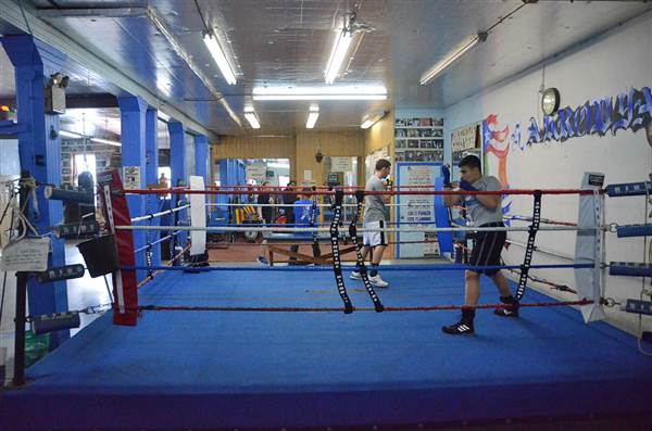 Harrowgate Boxing Club