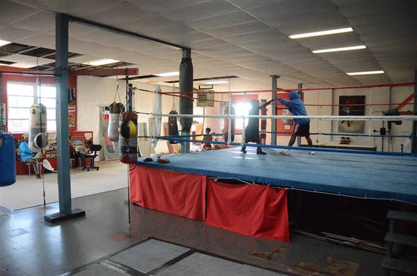 Harrowgate Boxing Club