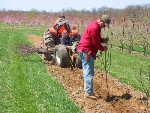 Solebury Orchards