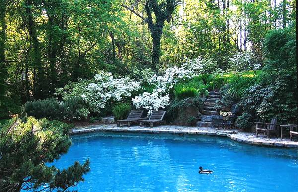 Rock Rose Estate