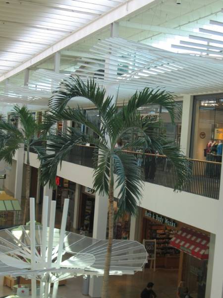 Plymouth Meeting Mall