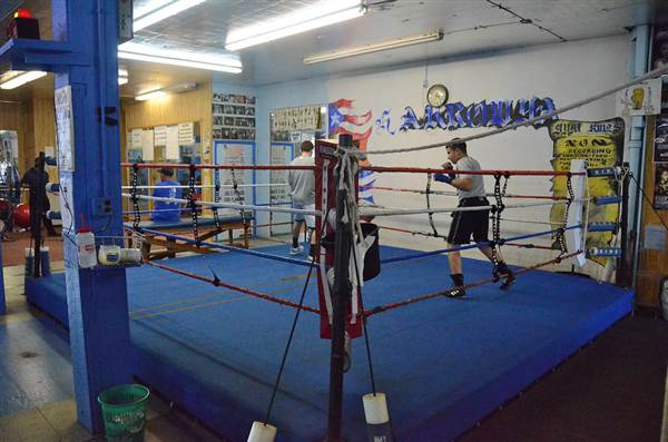 Harrowgate Boxing Club