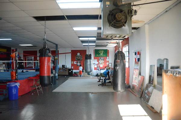 Harrowgate Boxing Club