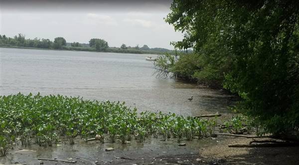 Governor Printz Park