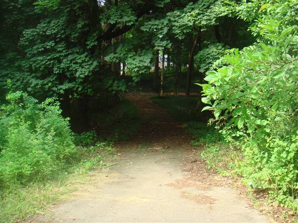1146 Fox Chase Rd.