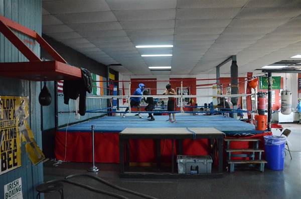 Harrowgate Boxing Club