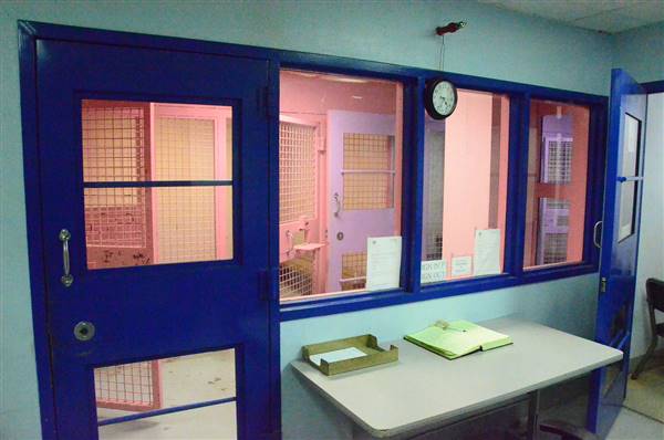 Family Court Holding Cells