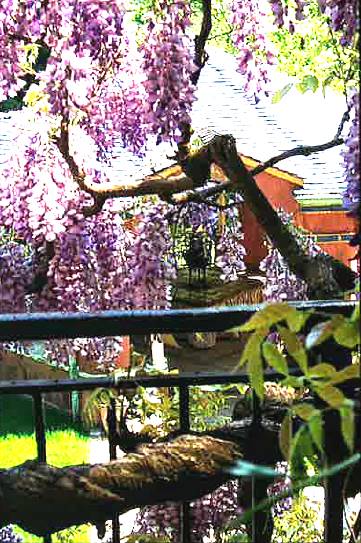 Rock Rose Estate