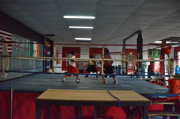 Harrowgate Boxing Club
