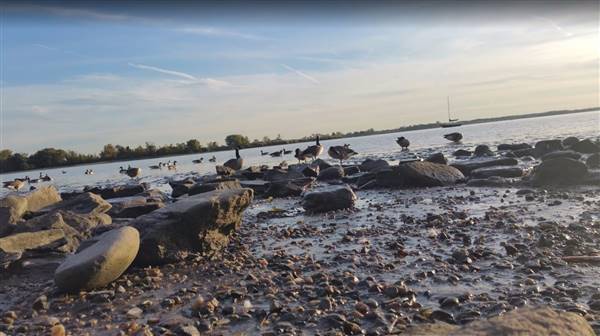 Governor Printz Park