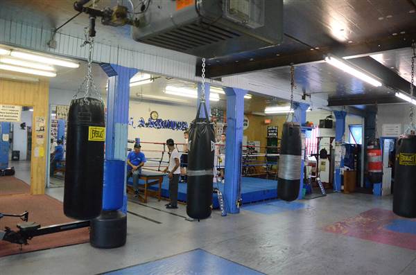 Harrowgate Boxing Club