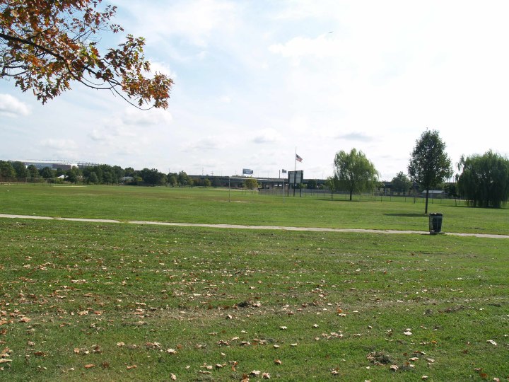 Locations Hub Baseball Field at Franklin D. Roosevelt Park