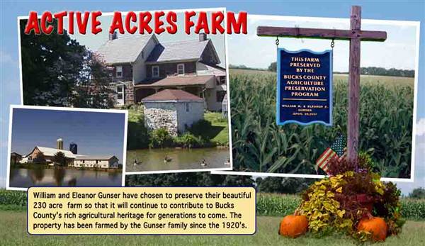Active Acres Farm/Sleepy Hollow Farm
