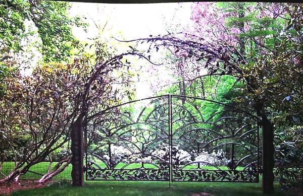 Rock Rose Estate