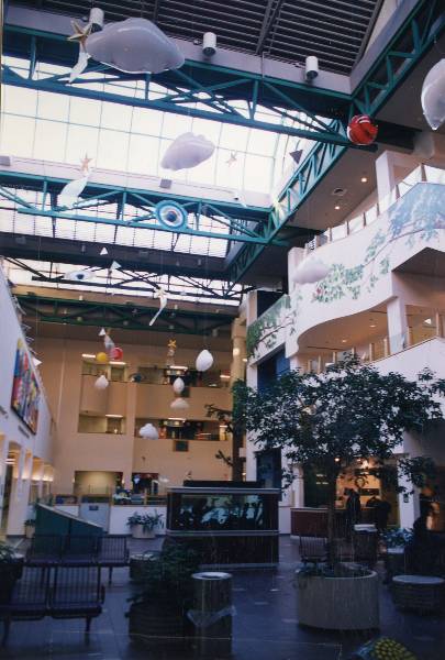 St. Christopher's Hospital for Children