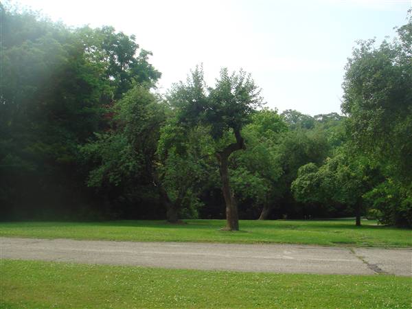 1146 Fox Chase Rd.