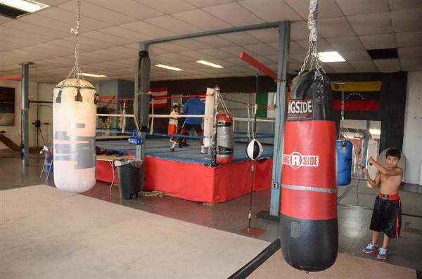 Harrowgate Boxing Club