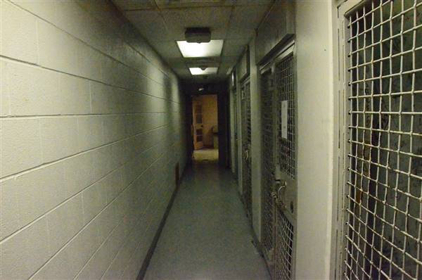 Family Court Holding Cells